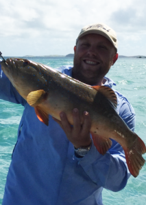 fishing charters willfish gold coast