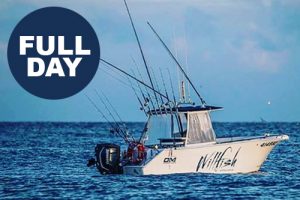 willfish whitsundays full day
