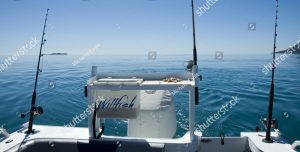 whitsunday fishing